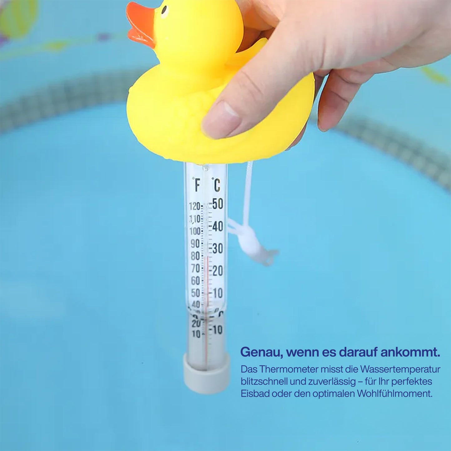 Eisbad Thermometer Ente